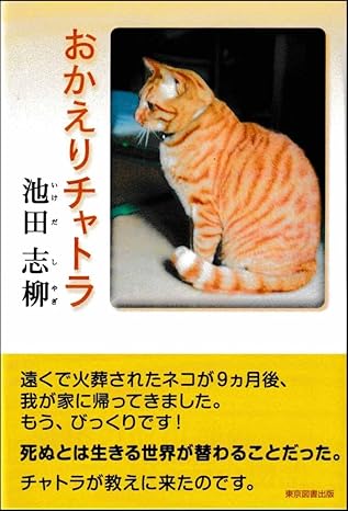 おかえりチャトラ