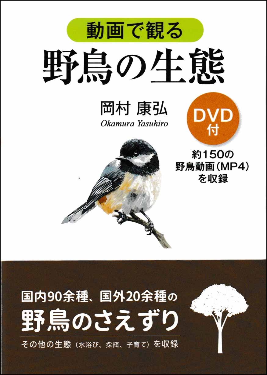 動画で観る野鳥の生態